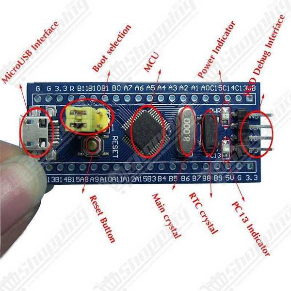 Carte de développement STM32F103C8T6 ARM Cortex-M3 Blue Pill