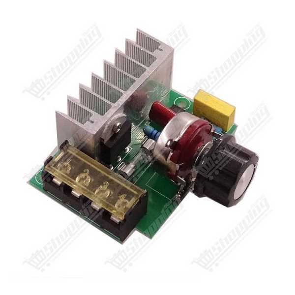 Régulateur de tension et variateur de vitesse SCR 4000W 220V AC