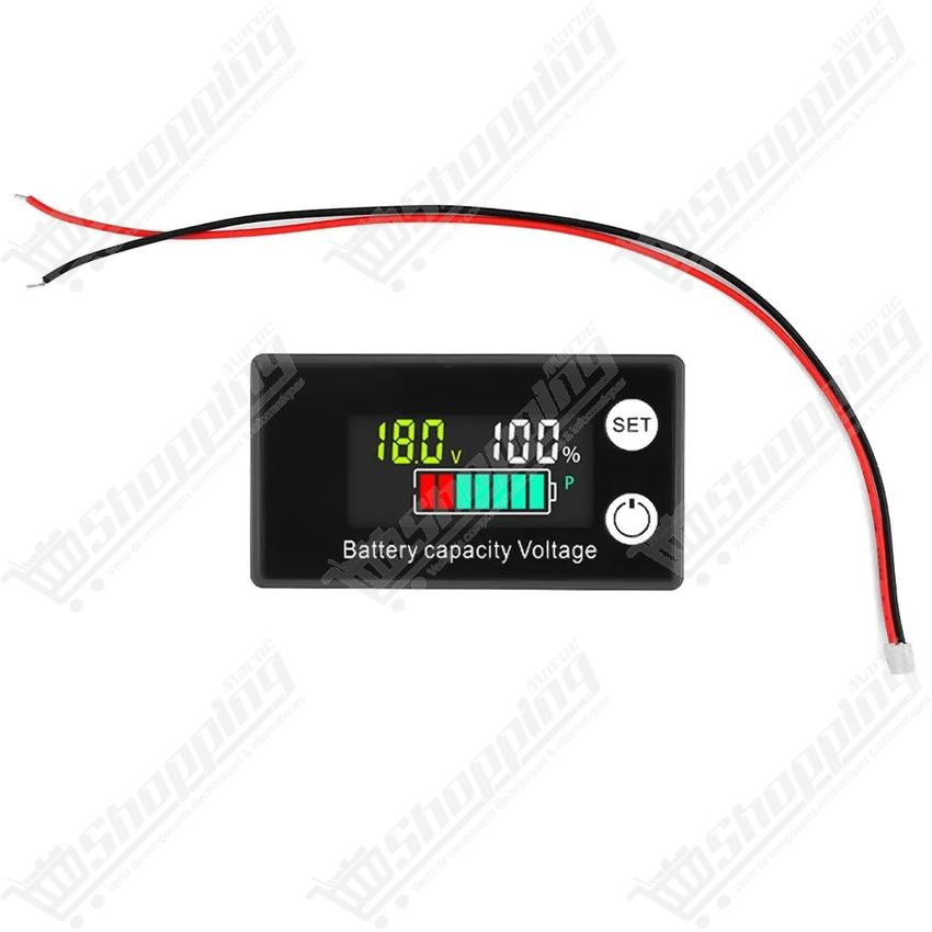 Indicateur de capacité de batterie et voltmètre DC 8V-100V LCD