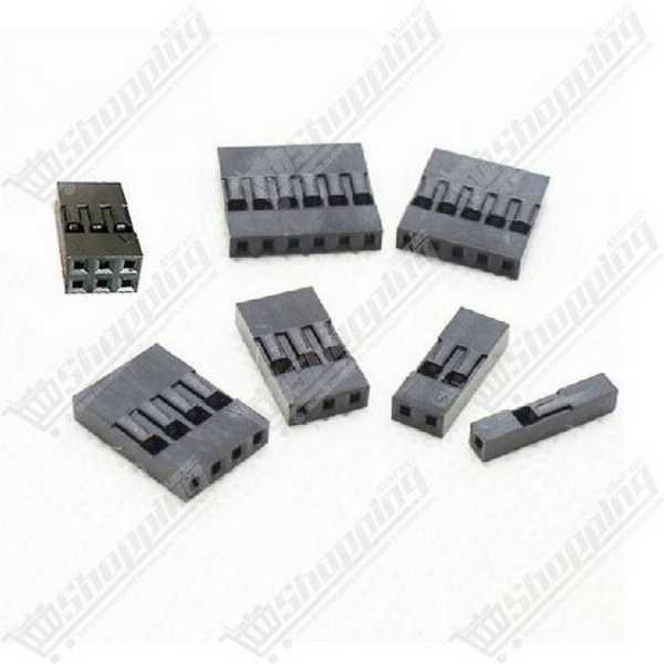 Lot de 10 boîtiers de connecteur Dupont 2 broches 2.54mm