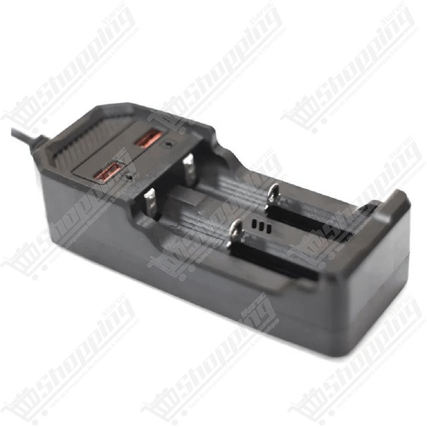 Chargeur pour 2 batteries Lithium 18650 avec double port USB