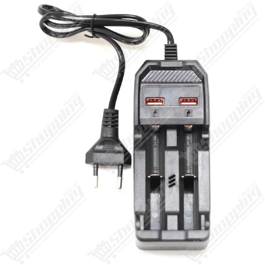 Chargeur pour 2 batteries Lithium 18650 avec double port USB